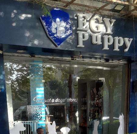 Egy Puppy Dog Store