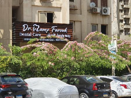 Dr.Ramy Farouk - Dental care clinic 