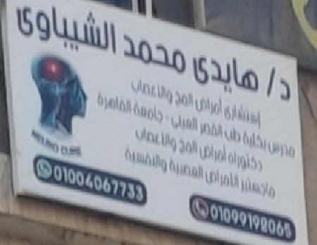 Dr Haidy Mohamed El Shebawy Neurology