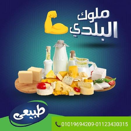 ماركت وألبان طبيعي